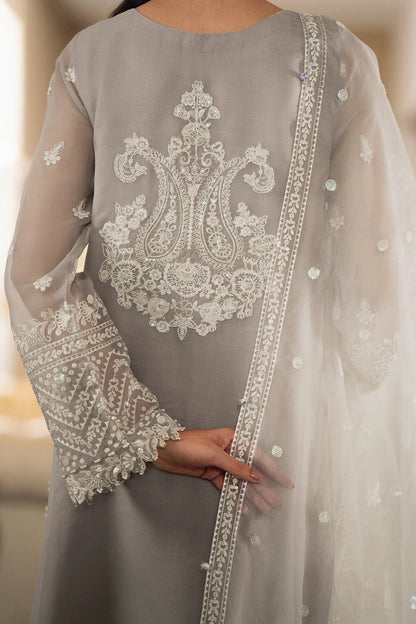 Elegant Semi Pure Chiffon & Soft Net Ensemble
